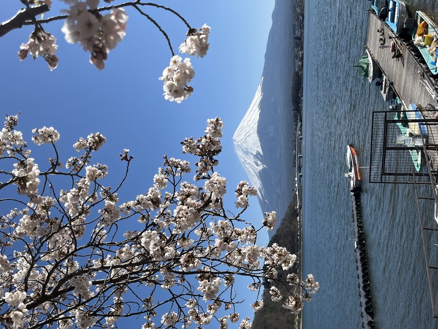 일본여행 - 오사카 ,시즈오카 후지산_37.jpg