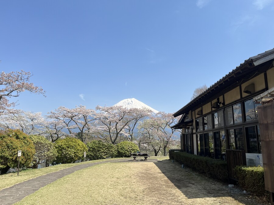 일본여행 - 오사카 ,시즈오카 후지산_56.jpg