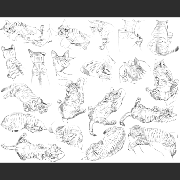 우리집 고양이그림 보고가셈_10.png