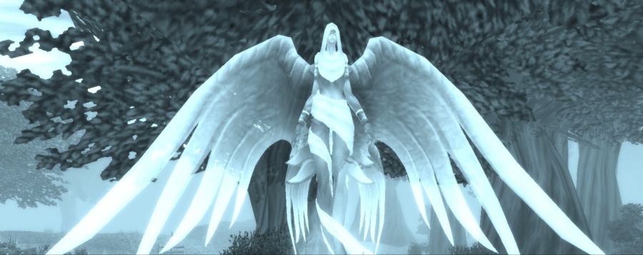 와우 하드코어 서버 디도스 공격으로 사망자 발생 및 부활 시킴_1.jpg