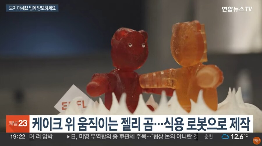 요즘 케이크 장식 기술 근황.jpg