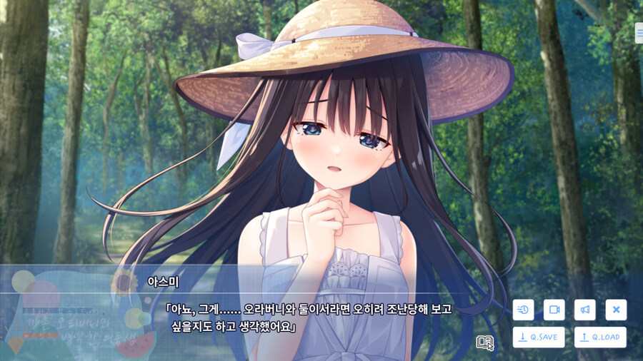 여동생과 함께 시골로 이사가는 게임_14.jpg