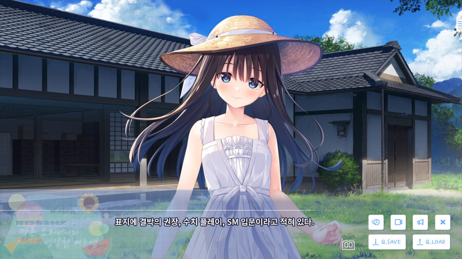 여동생과 함께 시골로 이사가는 게임_23.jpg