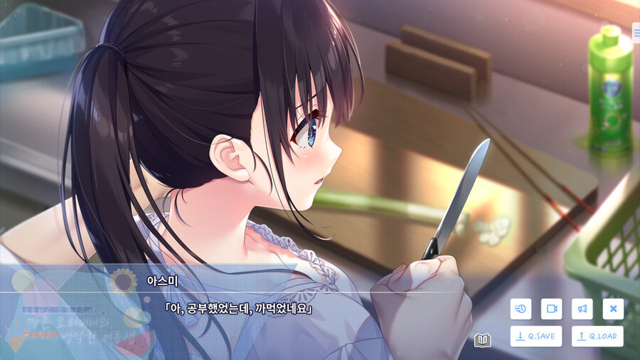 여동생과 함께 시골로 이사가는 게임_30.jpg