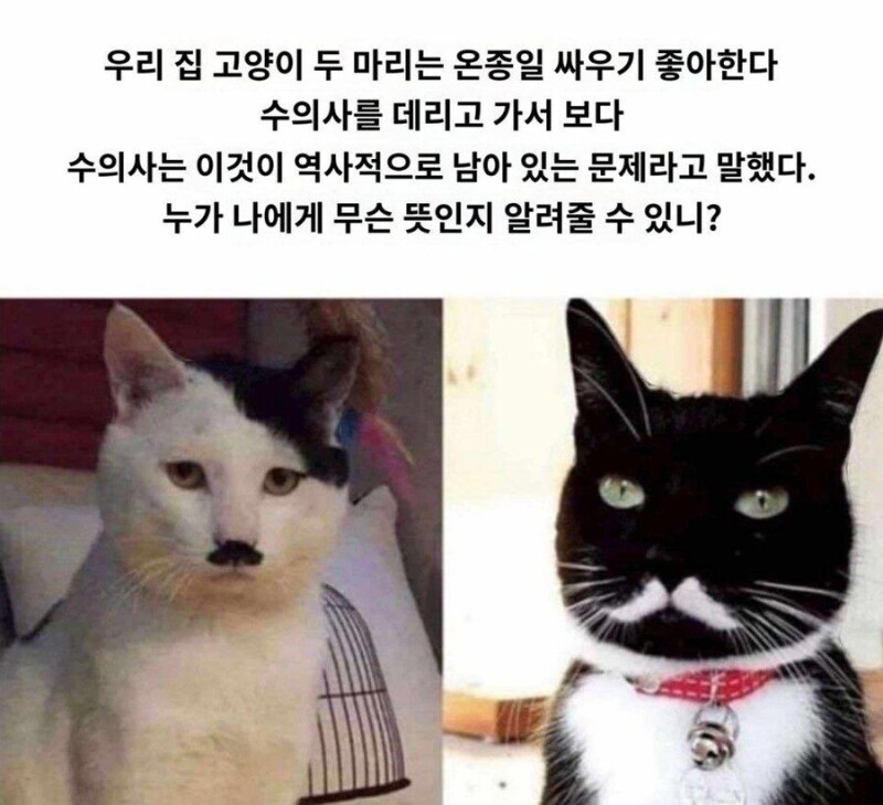 설명하기 좀 복잡해요