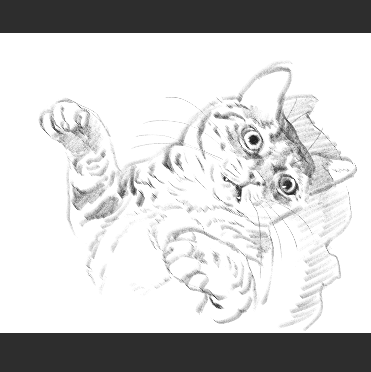 우리집 고양이그림 보고가셈 (feat.키우지마)_2.png