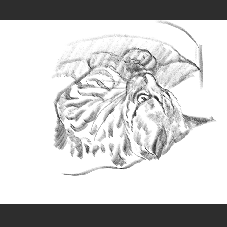 우리집 고양이그림 보고가셈 (feat.키우지마)_3.png