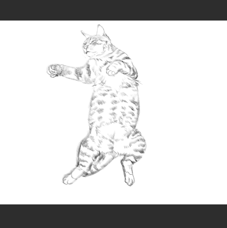 우리집 고양이그림 보고가셈 (feat.키우지마)_6.png