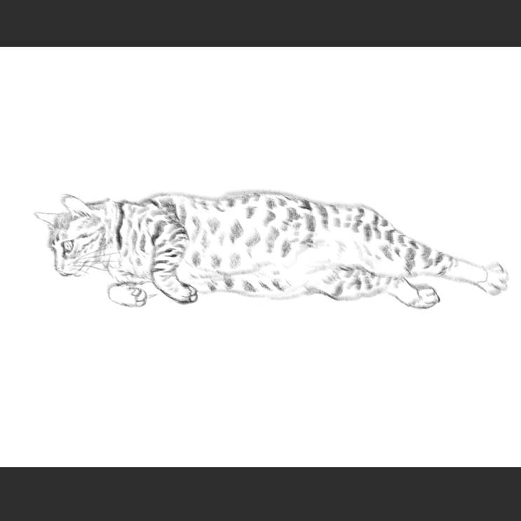 우리집 고양이그림 보고가셈 (feat.키우지마)_7.png