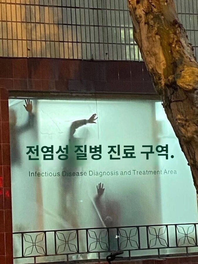 좀비 피해 발생.