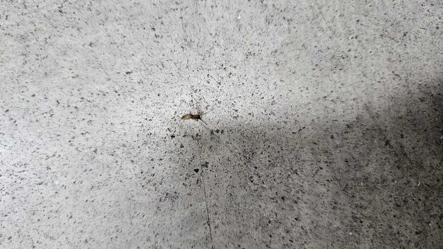 저 사실 유부녀 헌터임ㅋ