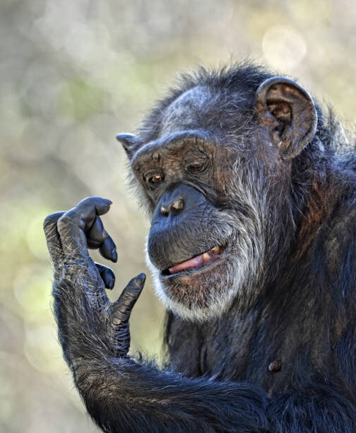 "타코 가격 너무 비싸요"_3.jpg