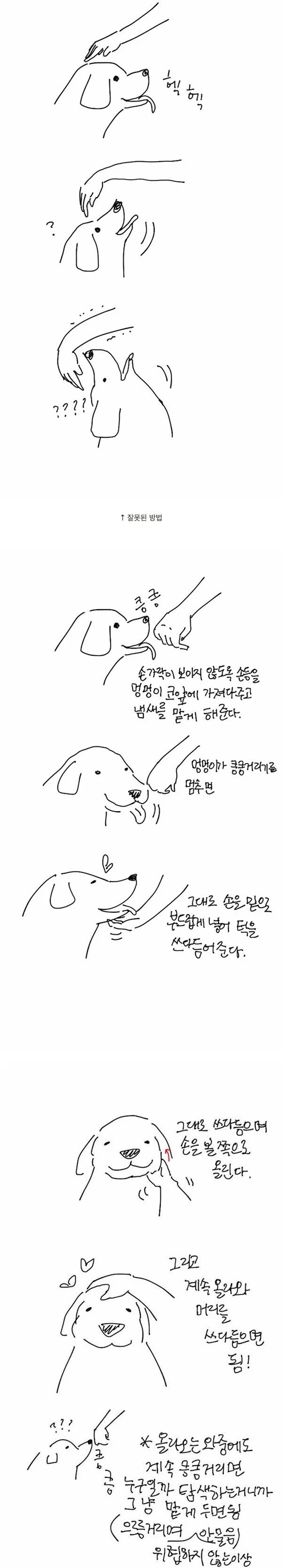 처음 보는 댕댕이 만지는 방법.gif_1.jpg