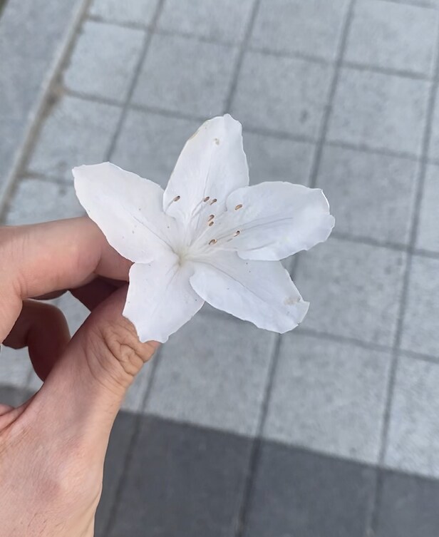 3D 프린터로 만든 노랑 피크민 꽃병_16.png