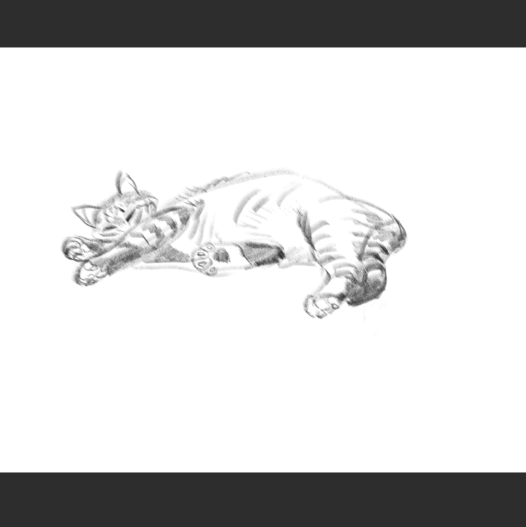 우리집 고양이그림 보고가셈_4.png