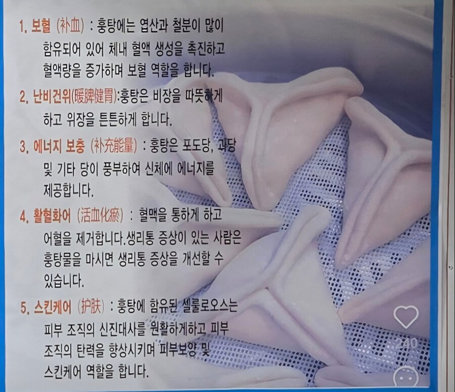 훈둔, 고기왕만두, 김치왕만두, 훙탕삼각빵, 2025년 41번째 젤라또_5.jpg