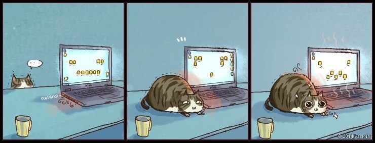 고양이들이 노트북을 좋아하는 이유.jpg_1.jpg