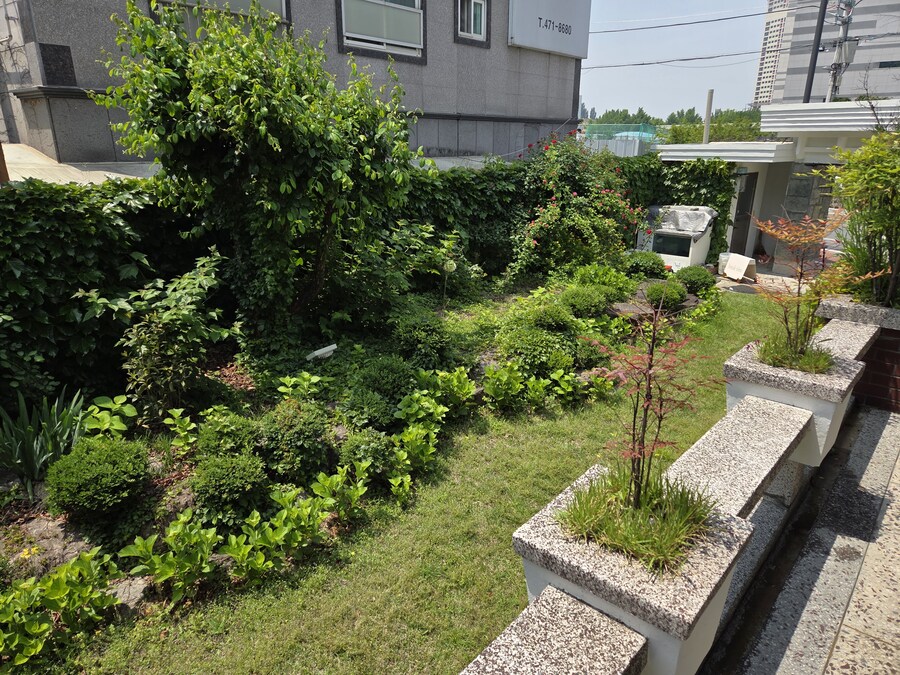 결혼기념일 8주년 식사_3.jpg