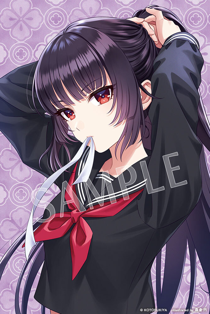 [코토부키야] 메가미 디바이스, 창채소녀정원 신작 박스 일러스트 공개_4.jpg