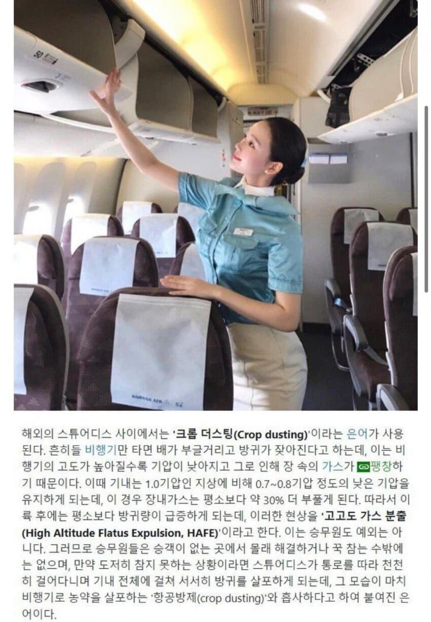 승무원 방귀의 비밀