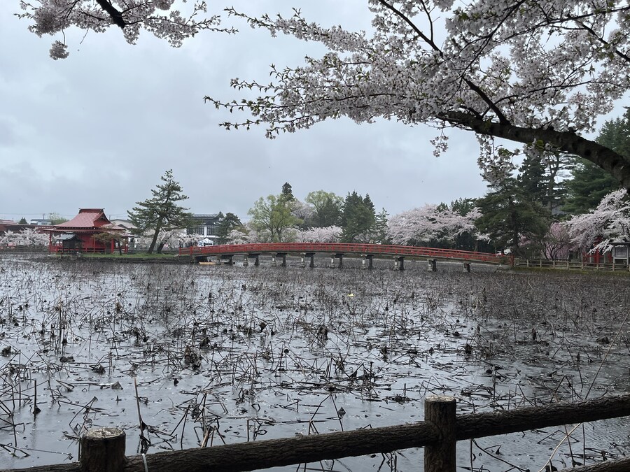 일본여행 - 다자와 호, 도와다 호, 나소계곡_26.jpg