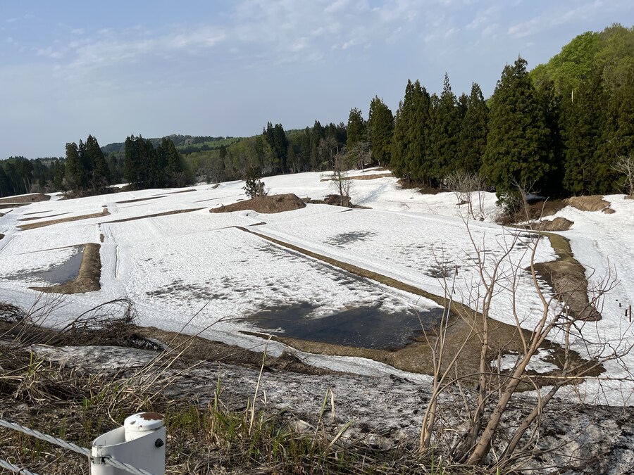 일본여행 - 나이가타시 ,아이야마시, 노지리 호수_18.jpg