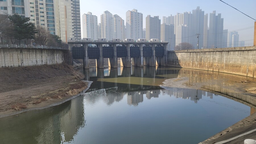 뒤늦게 올리는 3월 화성호 탐조_5.jpg