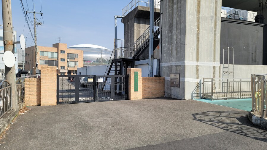 뒤늦게 올리는 3월 화성호 탐조_11.jpg