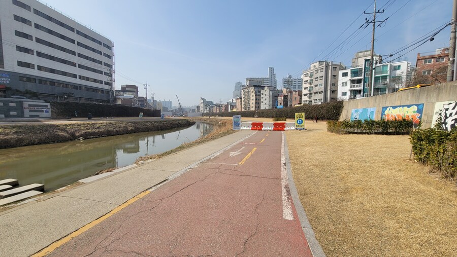 뒤늦게 올리는 3월 화성호 탐조_15.jpg