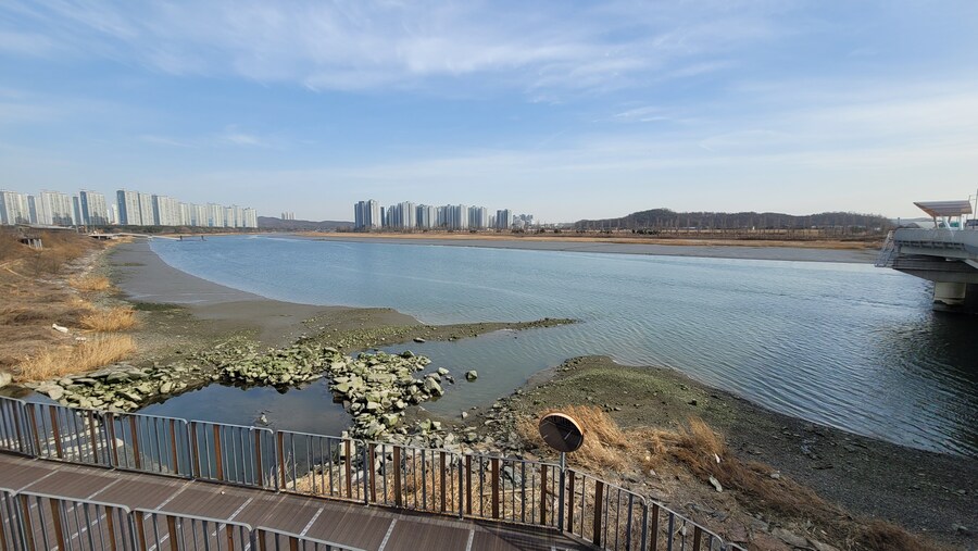 뒤늦게 올리는 3월 화성호 탐조_38.jpg