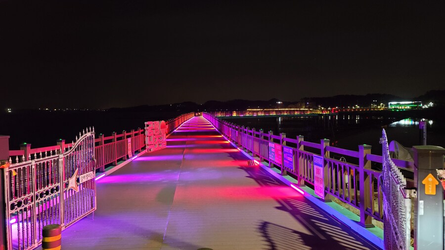 뒤늦게 올리는 3월 화성호 탐조_60.jpg