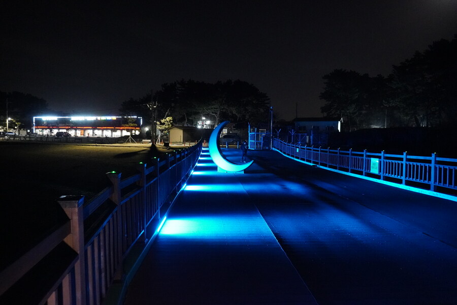 뒤늦게 올리는 3월 화성호 탐조_63.jpg