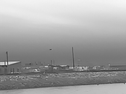 뒤늦게 올리는 3월 화성호 탐조_62.jpg