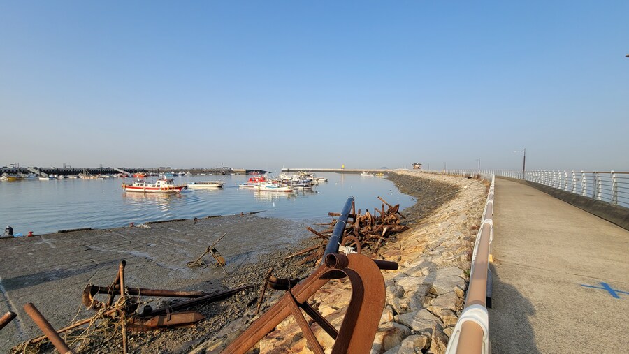 뒤늦게 올리는 3월 화성호 탐조_71.jpg