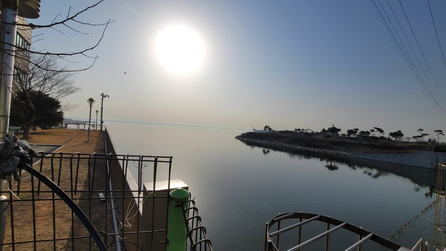 뒤늦게 올리는 3월 화성호 탐조_78.jpg