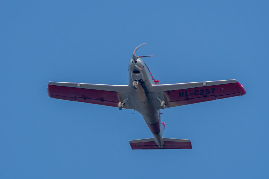 뒤늦게 올리는 3월 화성호 탐조_97.jpg