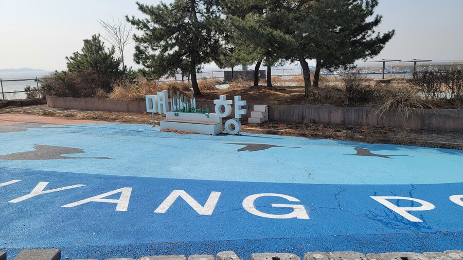 뒤늦게 올리는 3월 화성호 탐조_100.jpg