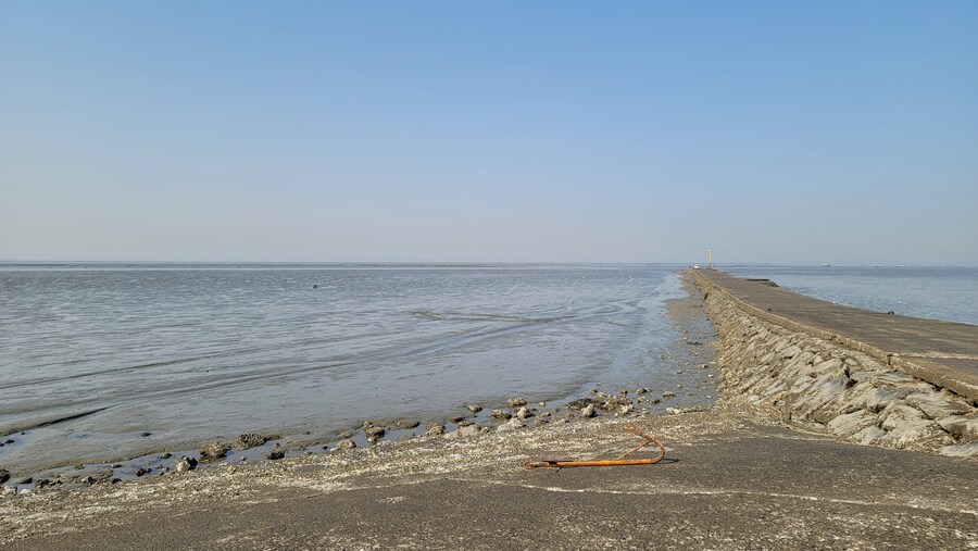 뒤늦게 올리는 3월 화성호 탐조_102.jpg