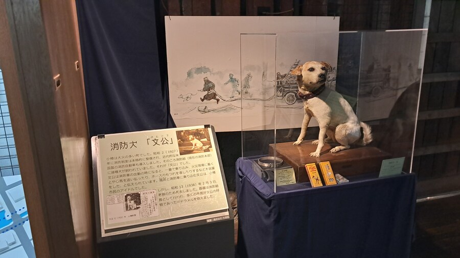 나홀로 삿포로 여행 1부(스압, 짧은 동영상 주의)_133.jpg