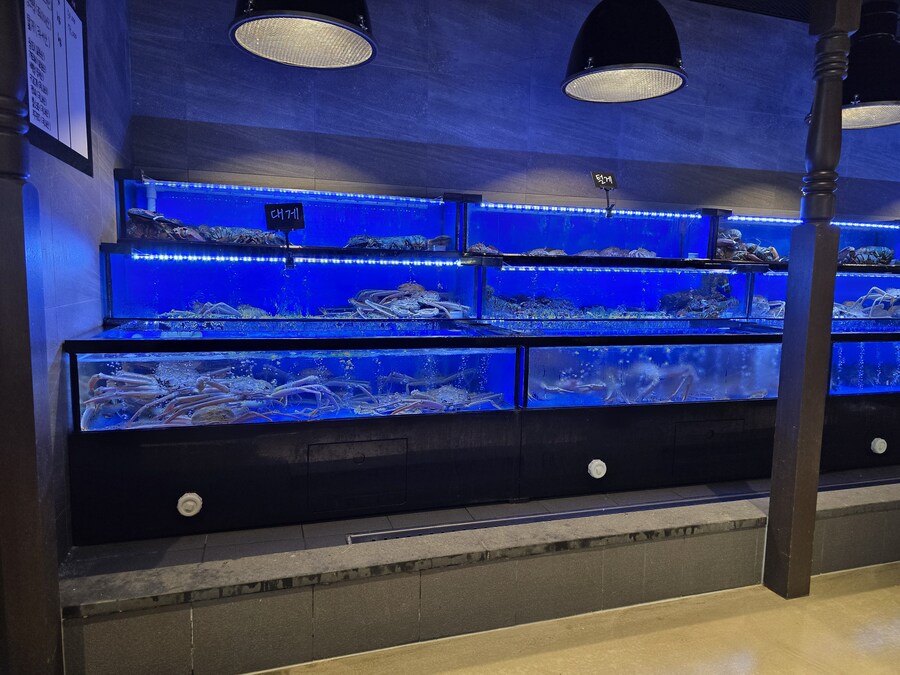 화제가 되었던 무한리필 회전초밥집에 다녀왔습니다._3.jpg