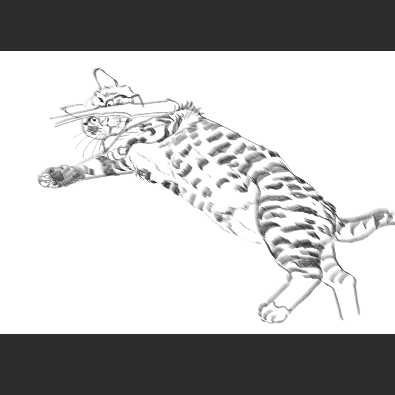 우리집 고양이그림 보고가셈_3.png