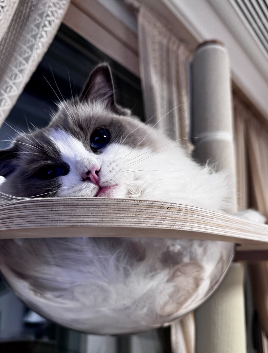 5월의 록희!_10.jpg