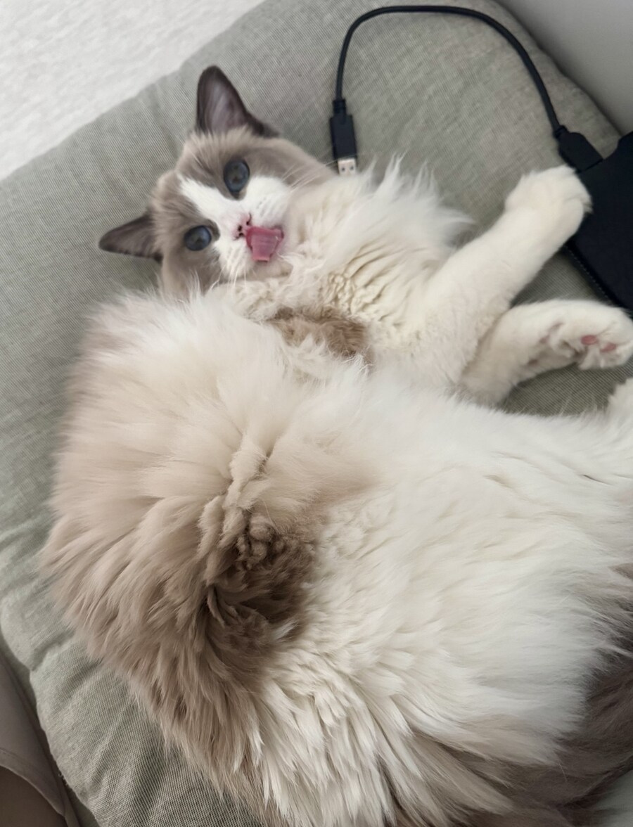 5월의 록희!_14.jpg