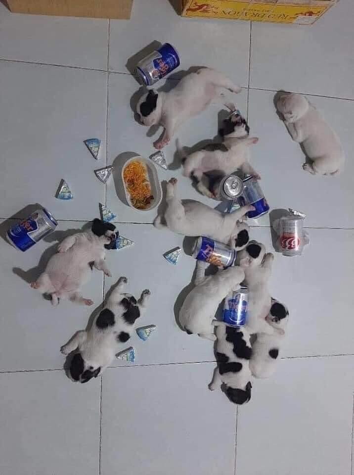 대학 새내기 mt_1.jpg