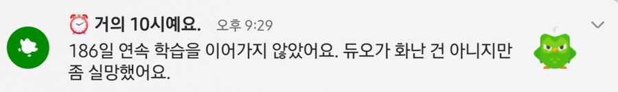 듀오링고) 얘 중대장인가 봐..._1.png