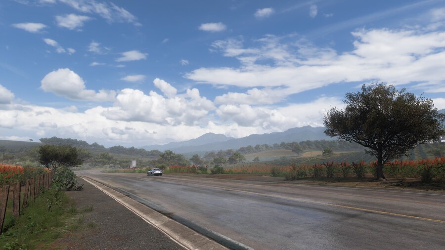 Forza Horizon 5_7.jpg