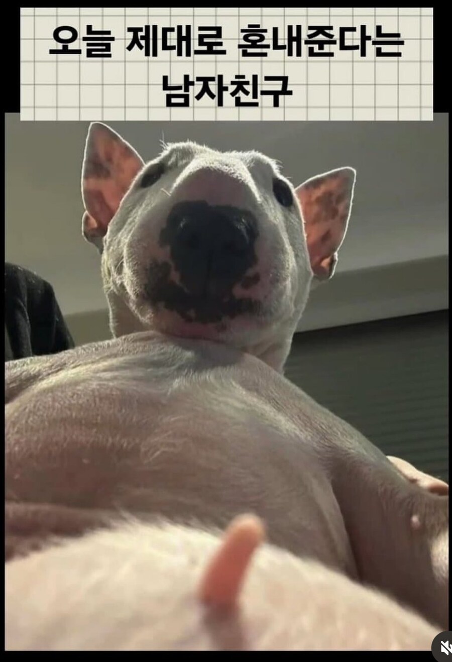 오늘 제대로 혼내준다는 남자친구_1.jpg