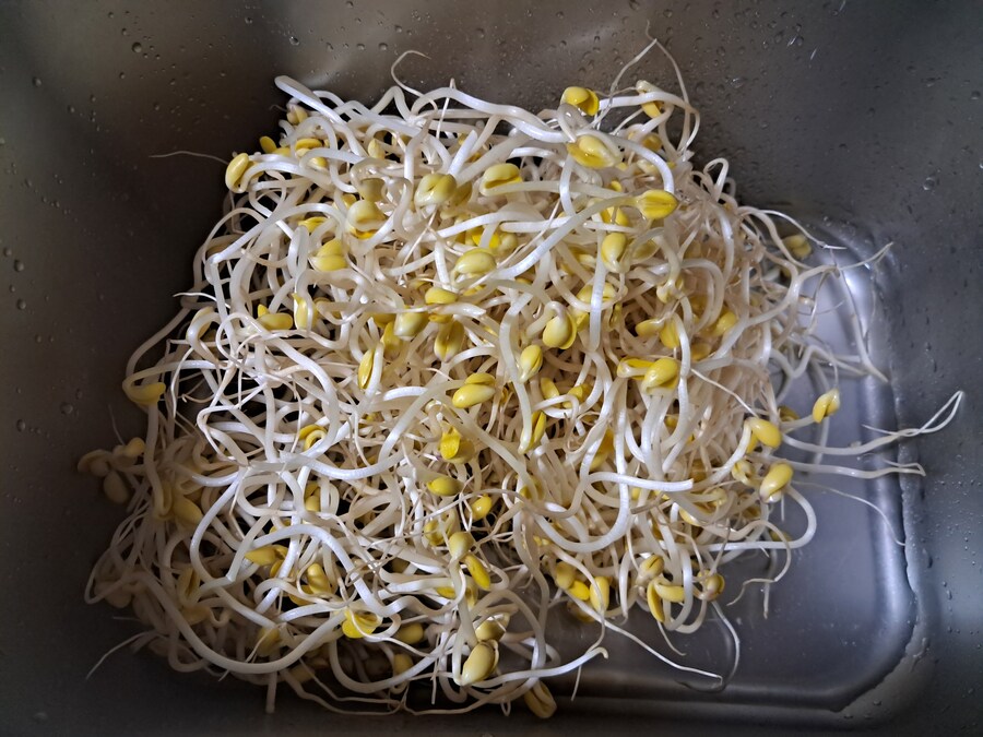 콩나물 무침 했어요~_1.jpg