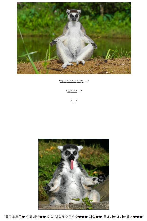 원숭이 아저씨의 대모험_160.png