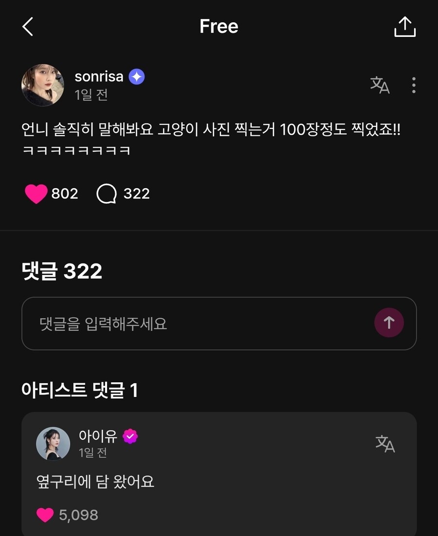 아이유의 고양이 그림자 챌린지_1.jpg